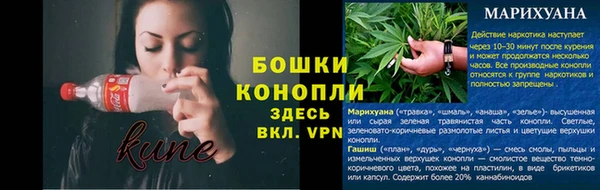 ALPHA PVP Осинники
