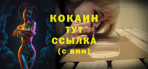 PSILOCYBIN Елизово