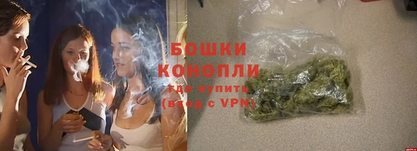 ALPHA PVP Осинники