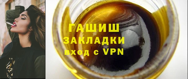индика Ельня