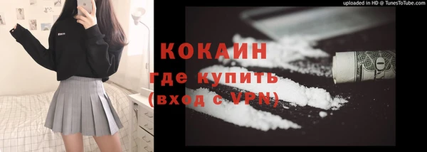 индика Ельня