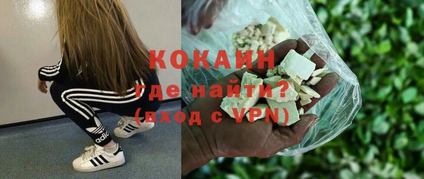 индика Ельня