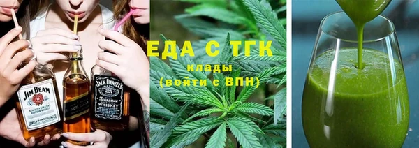 индика Ельня