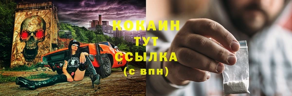 ALPHA PVP Осинники
