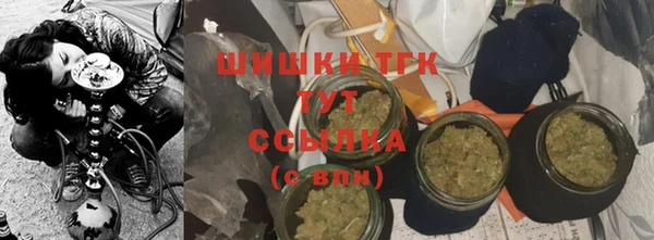 ALPHA PVP Осинники