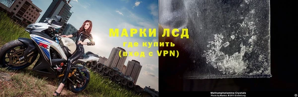 ALPHA PVP Осинники